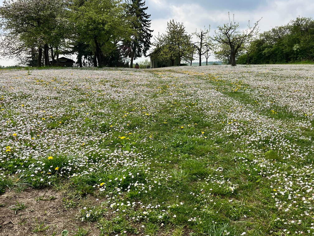 22-04-25 10-42-38 0612